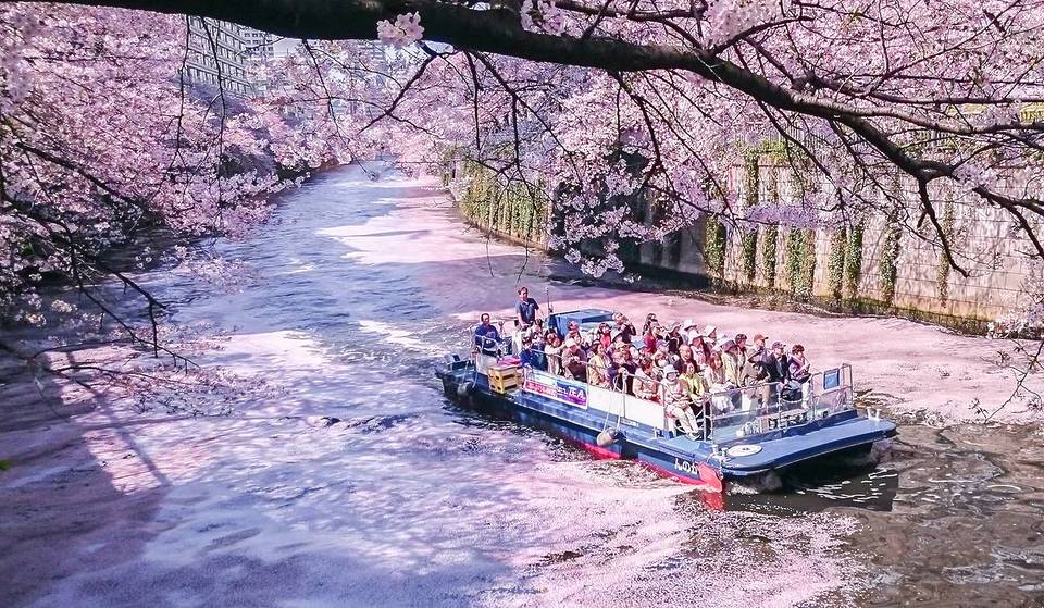 3月におすすめのスポット10選