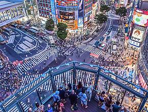 Shibuya Scramble Crossing Observation Lounge Overlooking the Intersection Has Been Renovated!