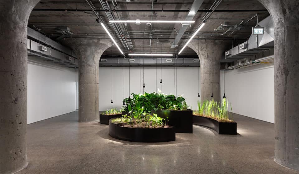 7 Of The Most Mind-Bending Exhibitions Passing Through Toronto This Summer