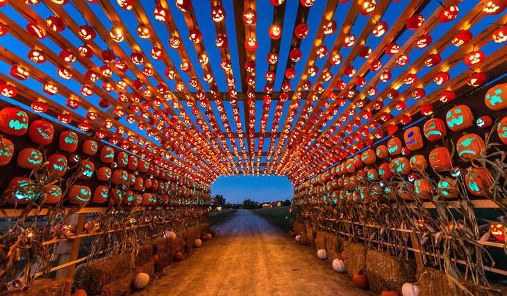 The Best Spooky Events To Celebrate Halloween 2025 In Toronto