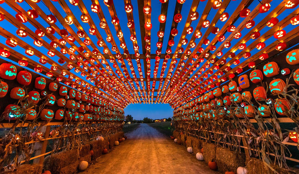 The Best Spooky Events To Celebrate Halloween 2025 In Toronto