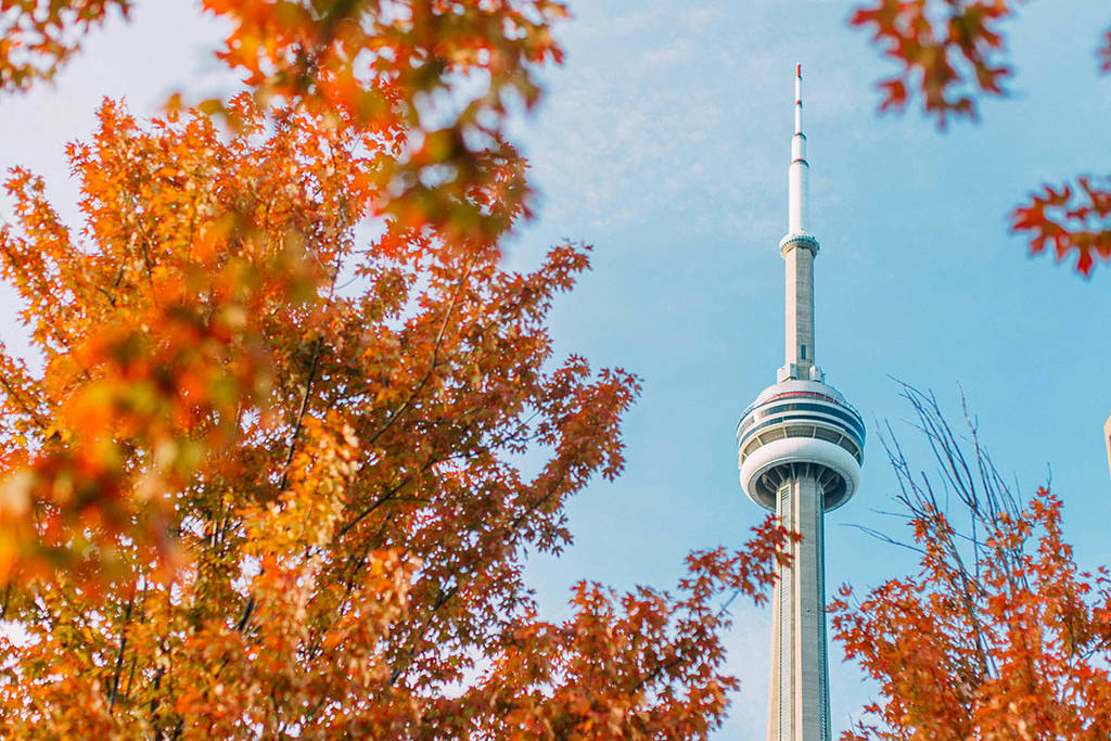 Les prévisions d’octobre 2026 pour l’Ontario viennent de sortir, et voici ce qui t’attend