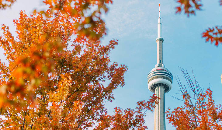 Les prévisions d’octobre 2026 pour l’Ontario viennent de sortir, et voici ce qui t’attend