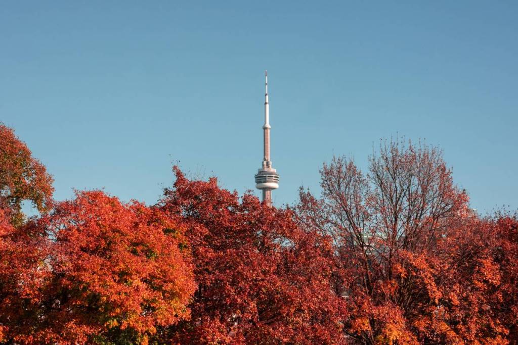 Plus de 15 activités géniales à faire en novembre à Toronto