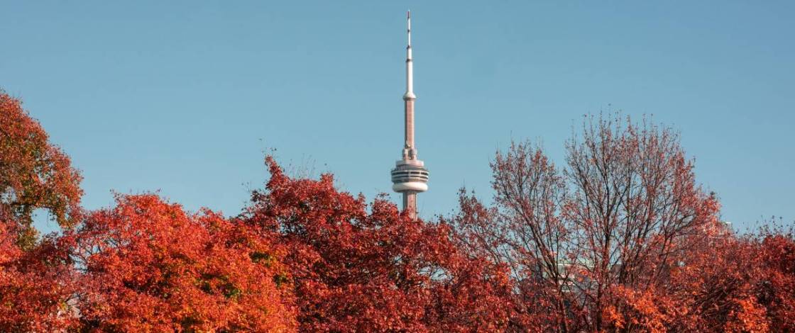 25+ magnificent things to do this November in Toronto