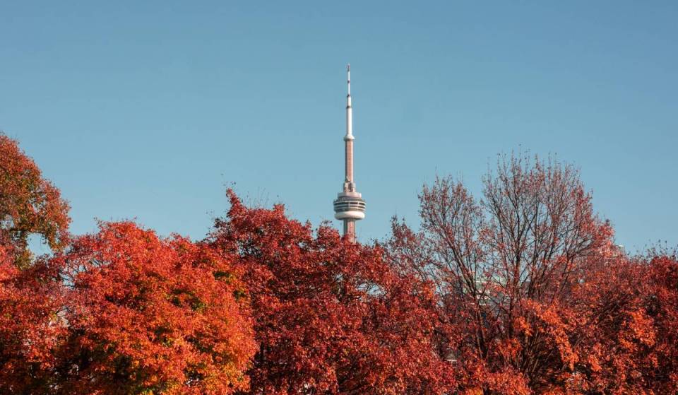 15+ magnificent things to do this November in Toronto