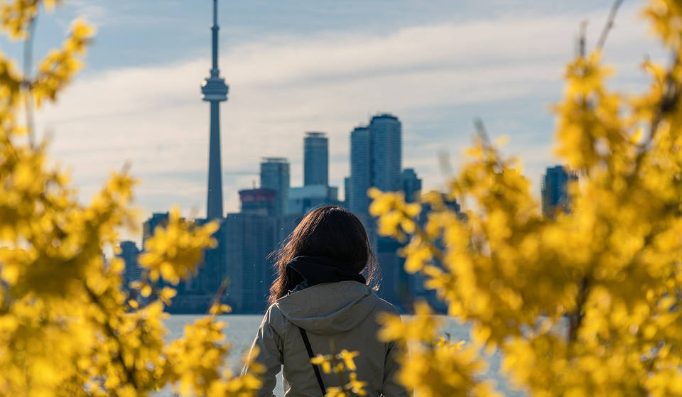 Temperatures In Toronto Could Reach As High As 18 C This Week