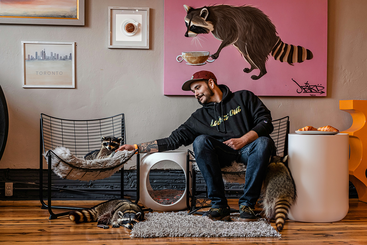 Toronto Is Officially Getting Its First Raccoon Cafe [April Fools]