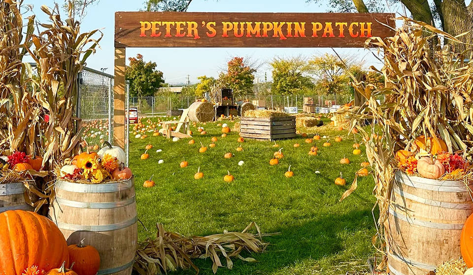 A Pumpkin Festival With Unlimited Rides And Games Is Coming To Toronto This Fall