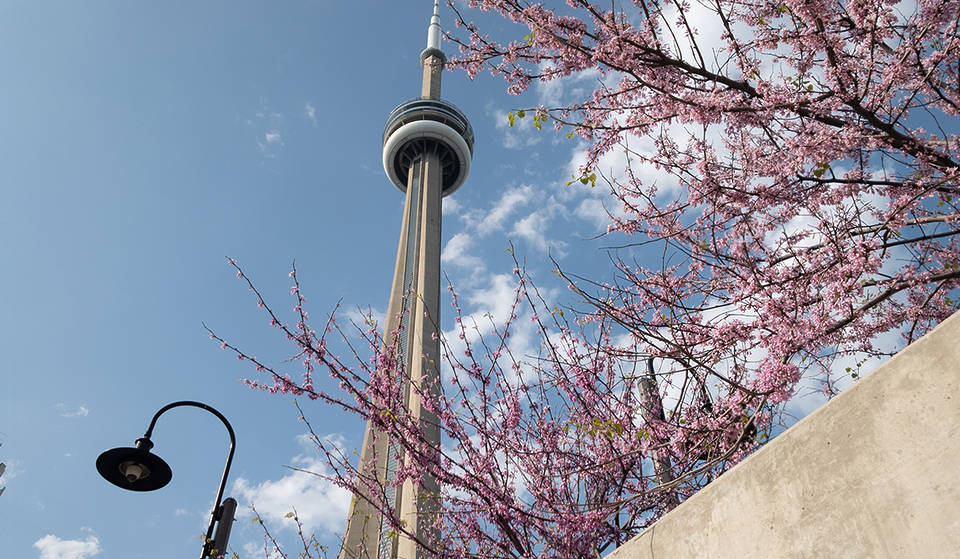 L&rsquo;heure d&rsquo;été revient en Ontario ce week-end, avec des journées plus longues et des couchers de soleil plus tardifs