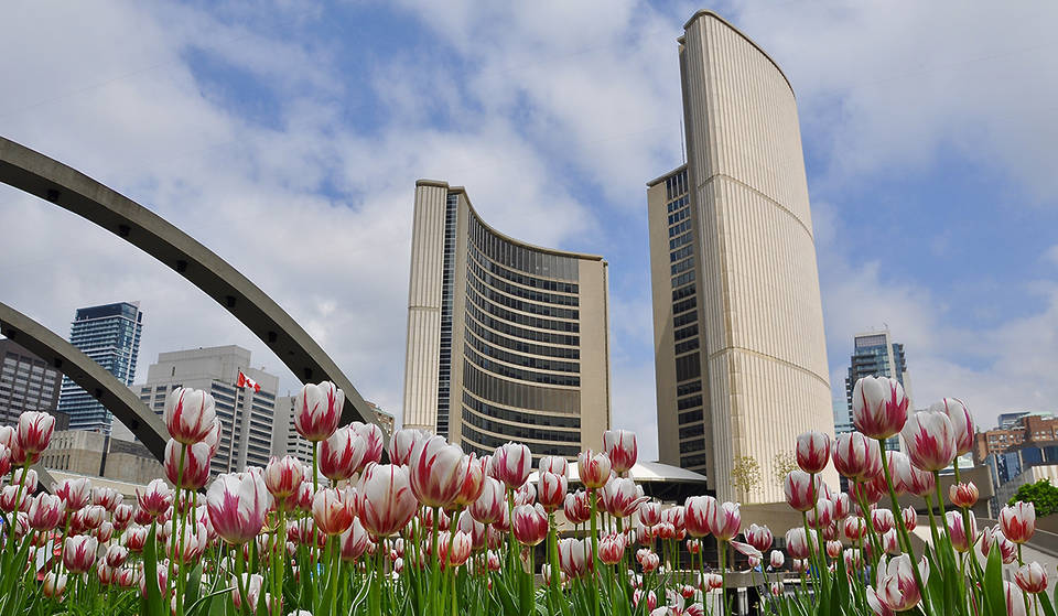 Choses à faire à Toronto ce week-end : du 8 au 10 mai 2026