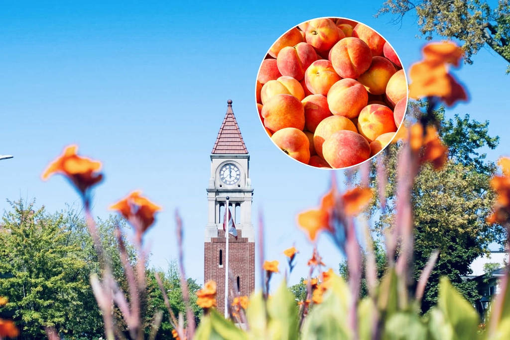 There&#8217;s A Massive Peach Festival This August In A Charming Small Town Just 2 Hours From Toronto