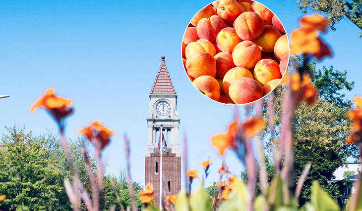 There&#8217;s A Massive Peach Festival This August In A Charming Small Town Just 2 Hours From Toronto