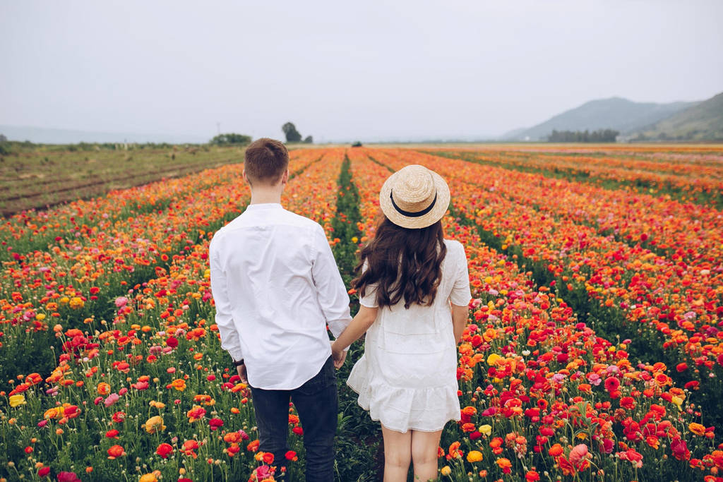 This Charming Ontario Town Is Hosting An End-Of-Summer Flower Festival With Millions Of Blooms