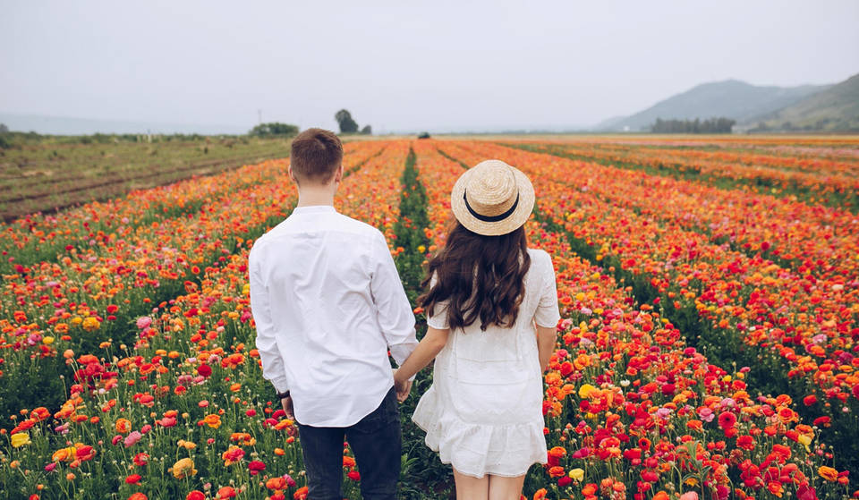 Cette charmante ville de l&rsquo;Ontario organise un festival de fleurs de fin d&rsquo;été avec des millions de fleurs.