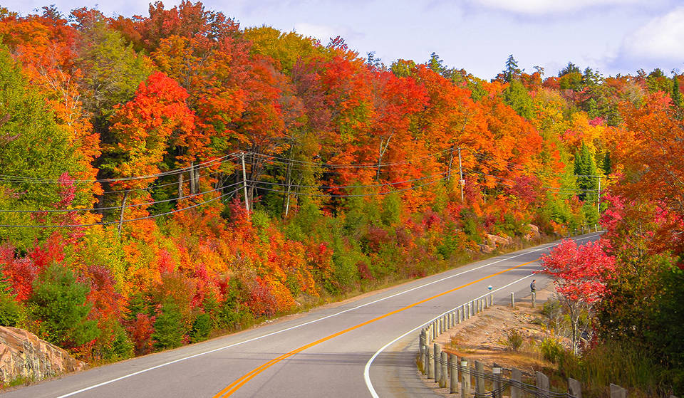 One Of North America’s Top Destinations For Fall Colours Is Just North Of Toronto