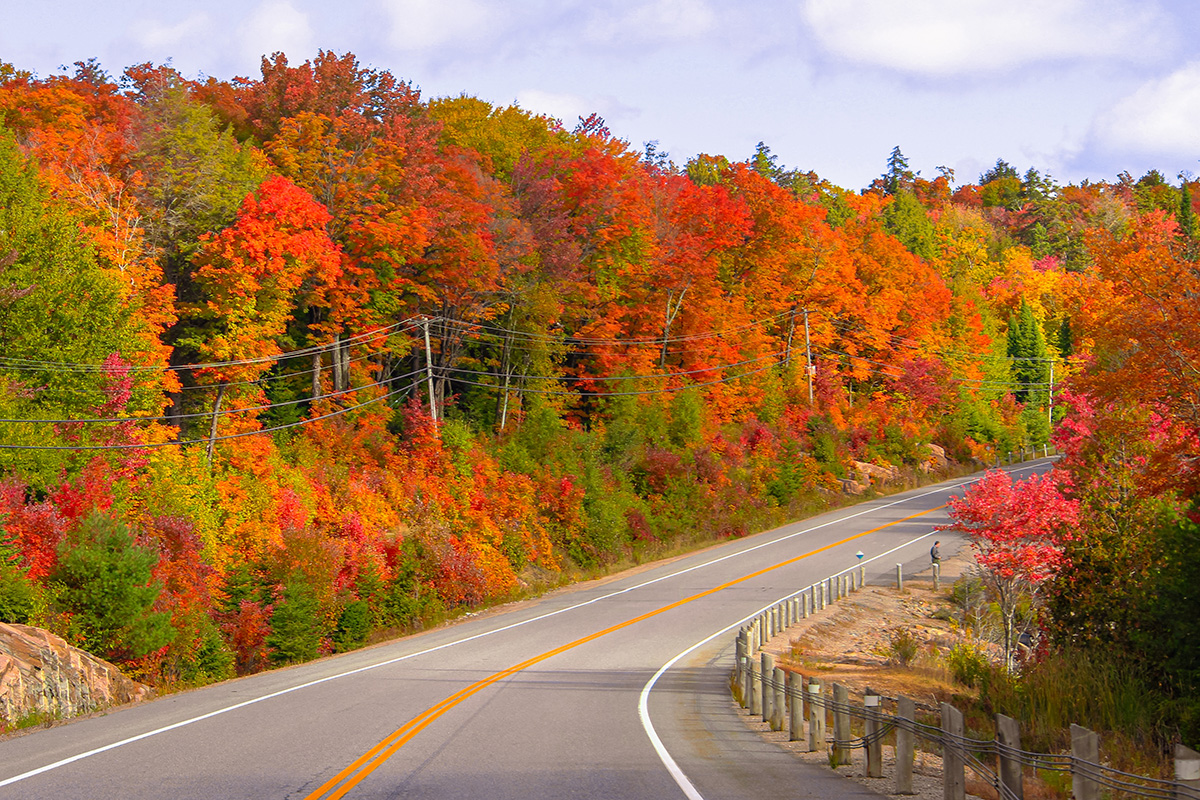One Of North America's Top Destinations For Fall Colours Is Just