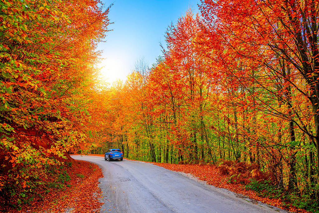 5 itinéraires pittoresques au départ de Toronto pour admirer les plus belles couleurs de l&rsquo;automne