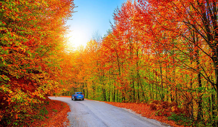 5 Scenic Fall Road Trips From Toronto To See The Best Autumn Colours