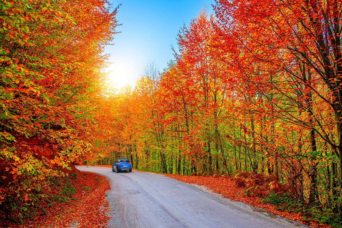 5 Scenic Fall Road Trips From Toronto To See The Best Autumn Colours