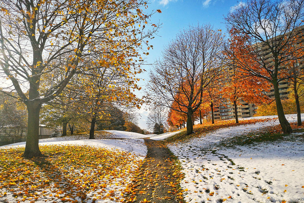 Toronto pourrait connaître du givre cette semaine alors que les températures sont sur le point de chuter de près de 30 degrés