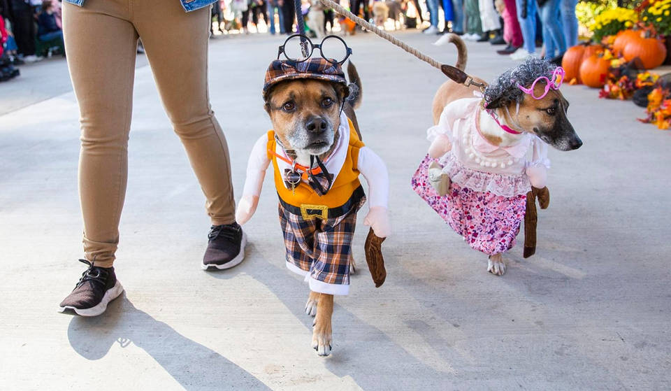 The best things to do in Toronto this weekend: October 23 – 25, 2026