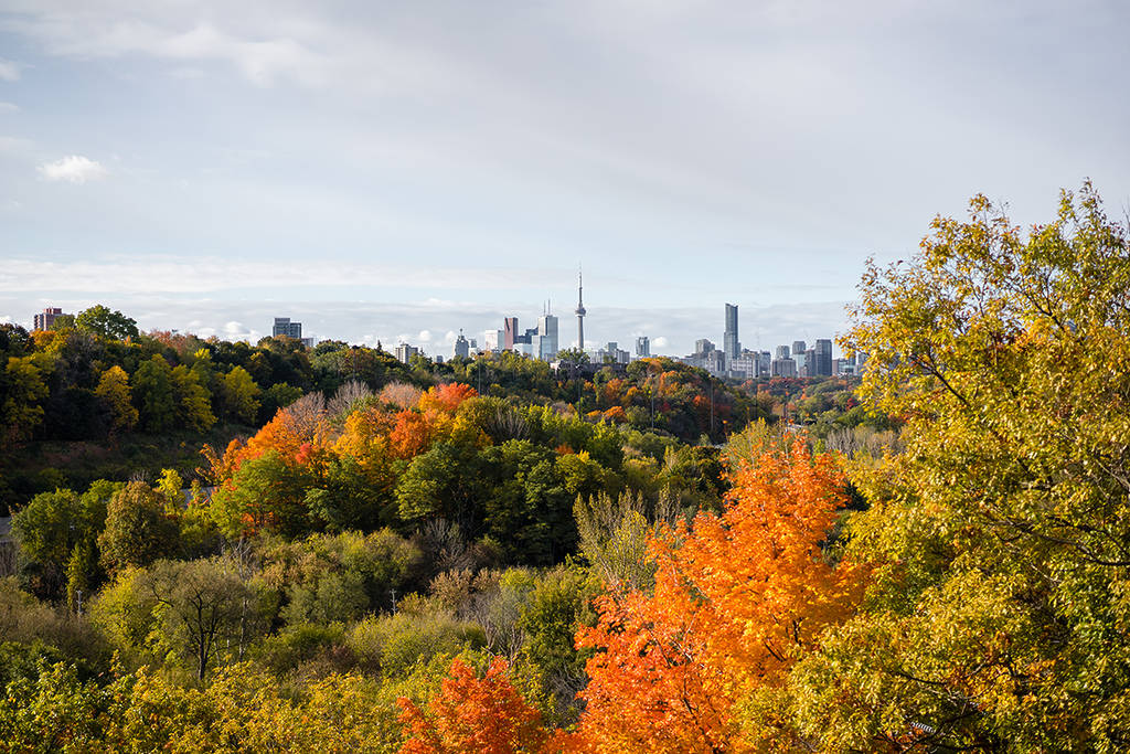 Les prévisions de septembre 2026 pour l’Ontario viennent de sortir, et voici ce qui t’attend
