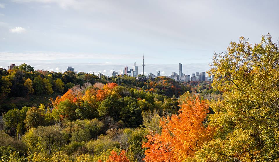 Les prévisions de septembre 2026 pour l’Ontario viennent de sortir, et voici ce qui t’attend