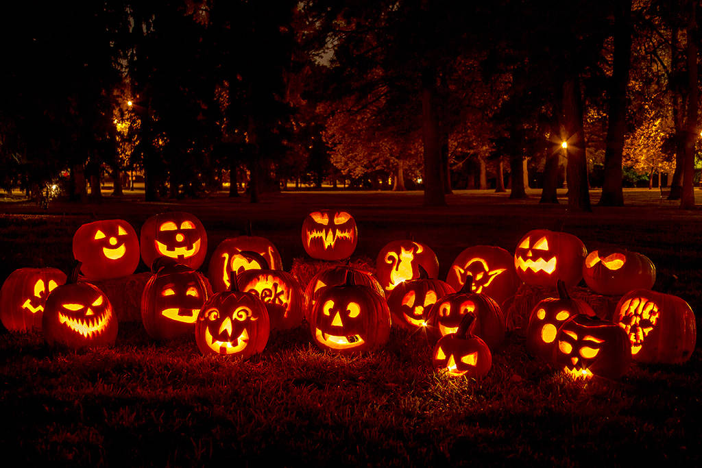 This Toronto Tradition With Thousands Of Glowing Pumpkins Is The Best Way To End Spooky Season