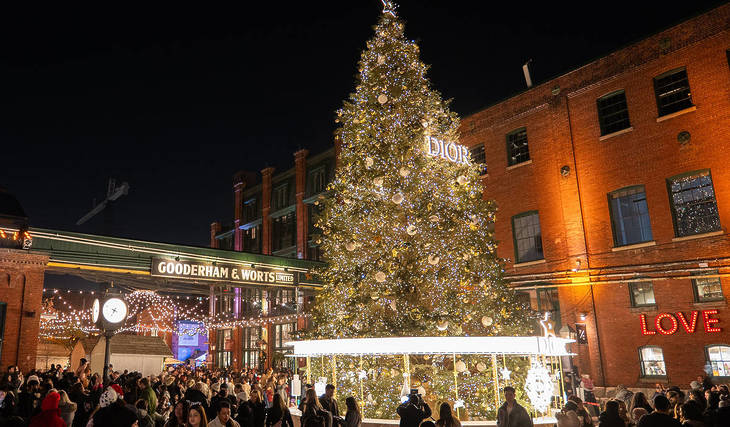 Things To Do In Toronto This Weekend: November 14 &#8211; 16, 2025