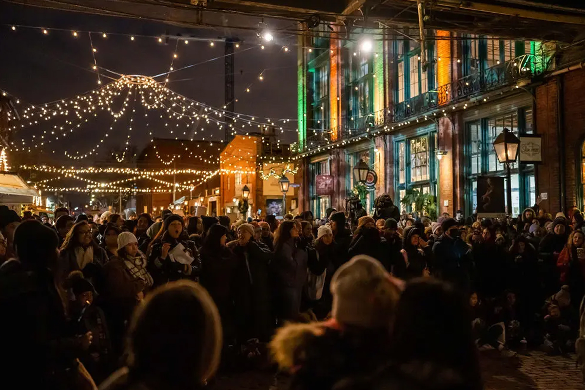 Canada’s Most Iconic Christmas Tree Lights Up Toronto In A Dazzling ...