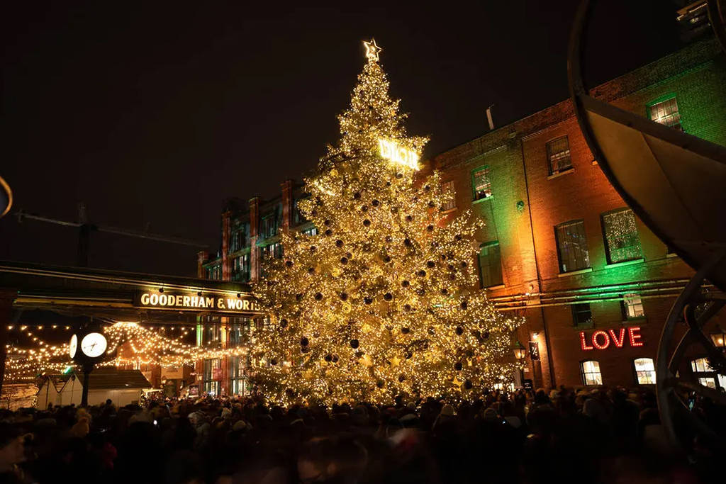 Canada’s Most Iconic Christmas Tree Lights Up Toronto In A Dazzling Ceremony This Month
