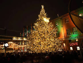 Canada’s Most Iconic Christmas Tree Lights Up Toronto In A Dazzling Ceremony This Month