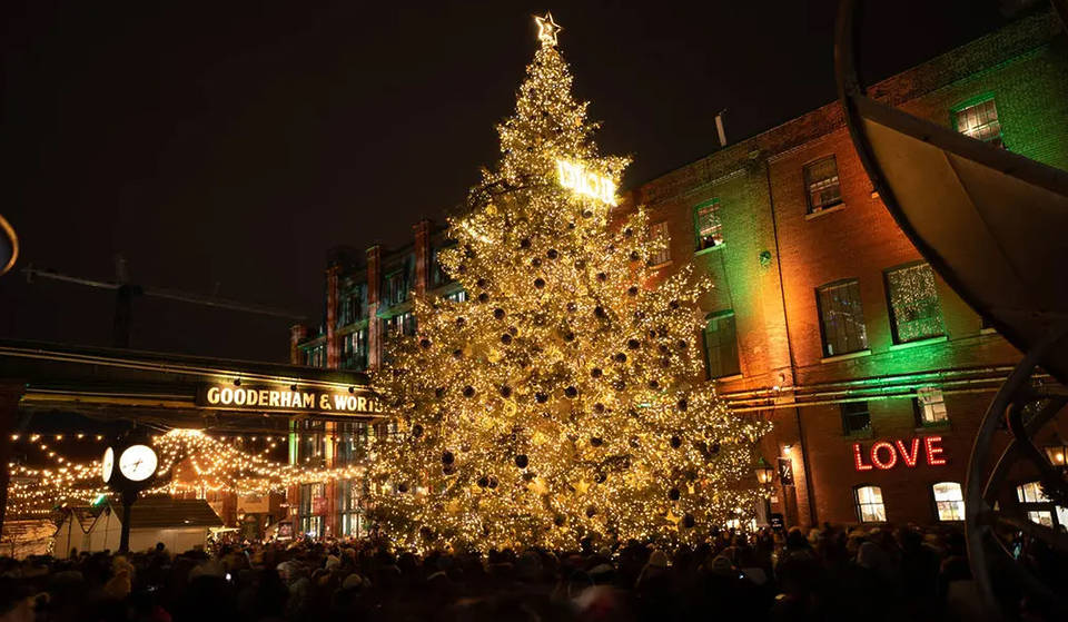 Canada’s Most Iconic Christmas Tree Lights Up Toronto In A Dazzling Ceremony This Month