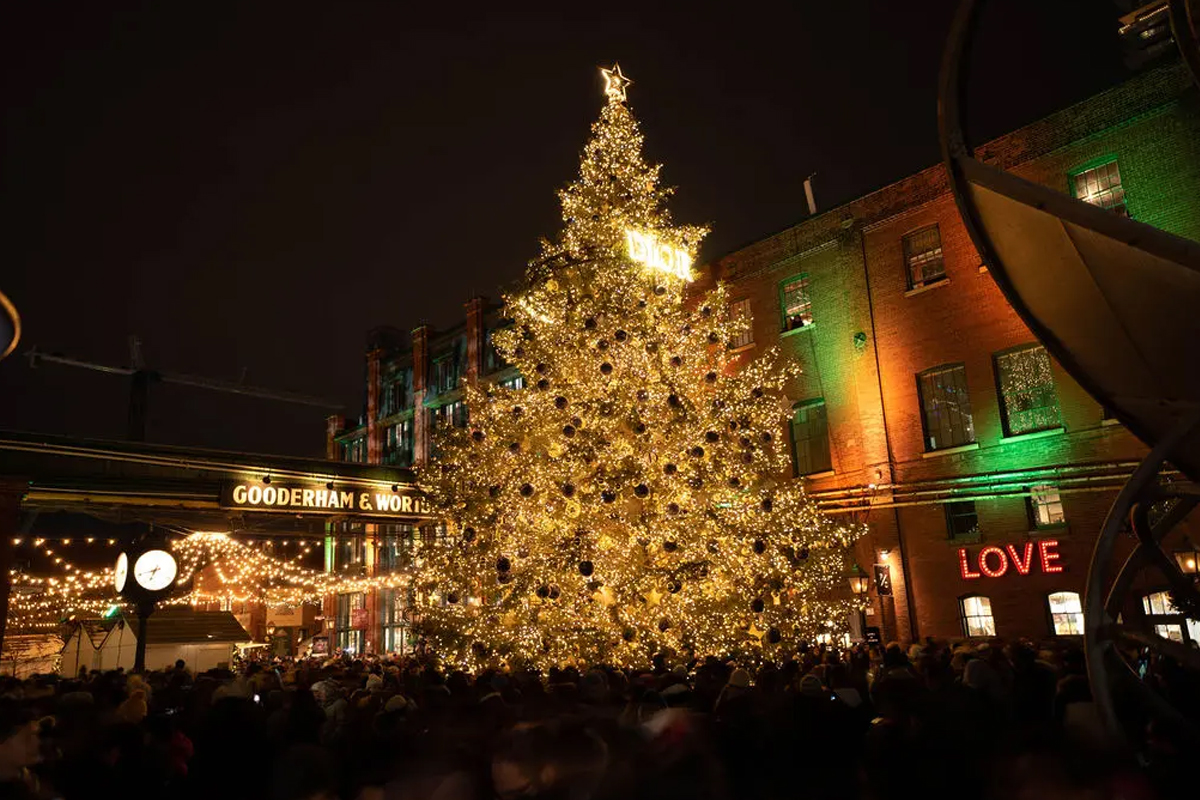 Canada’s Most Iconic Christmas Tree Lights Up Toronto In A Dazzling ...