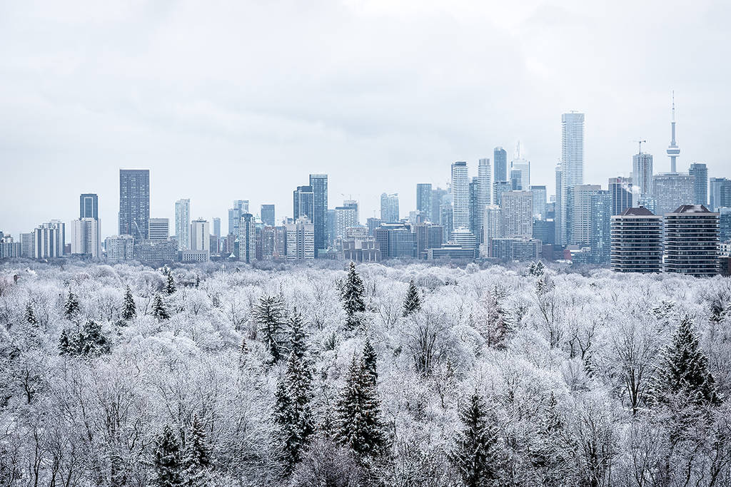 La première chute de neige importante de la saison à Toronto est attendue la semaine prochaine