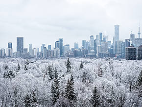 Toronto&#8217;s First Significant Snowfall Of The Season Expected Next Week
