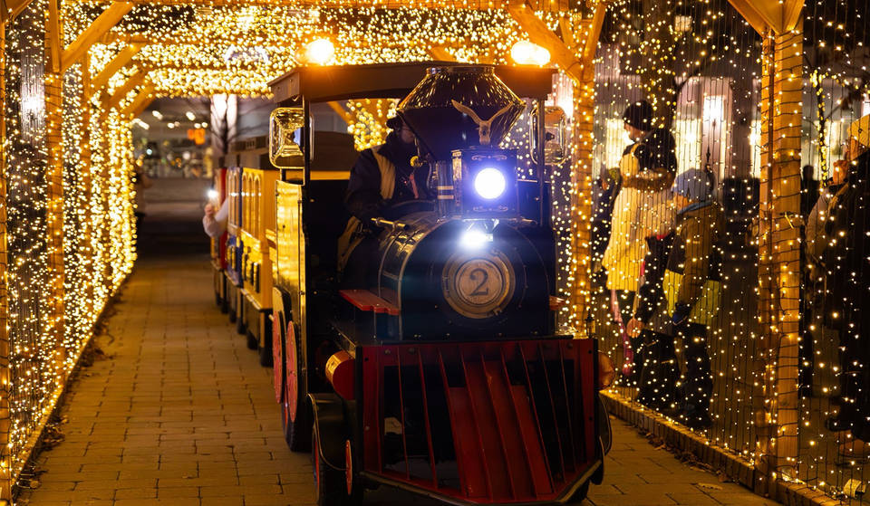Toronto’s Waterfront Has Transformed Into A Magical Winter Wonderland With Train Rides, Performances, And Free Ice Skating