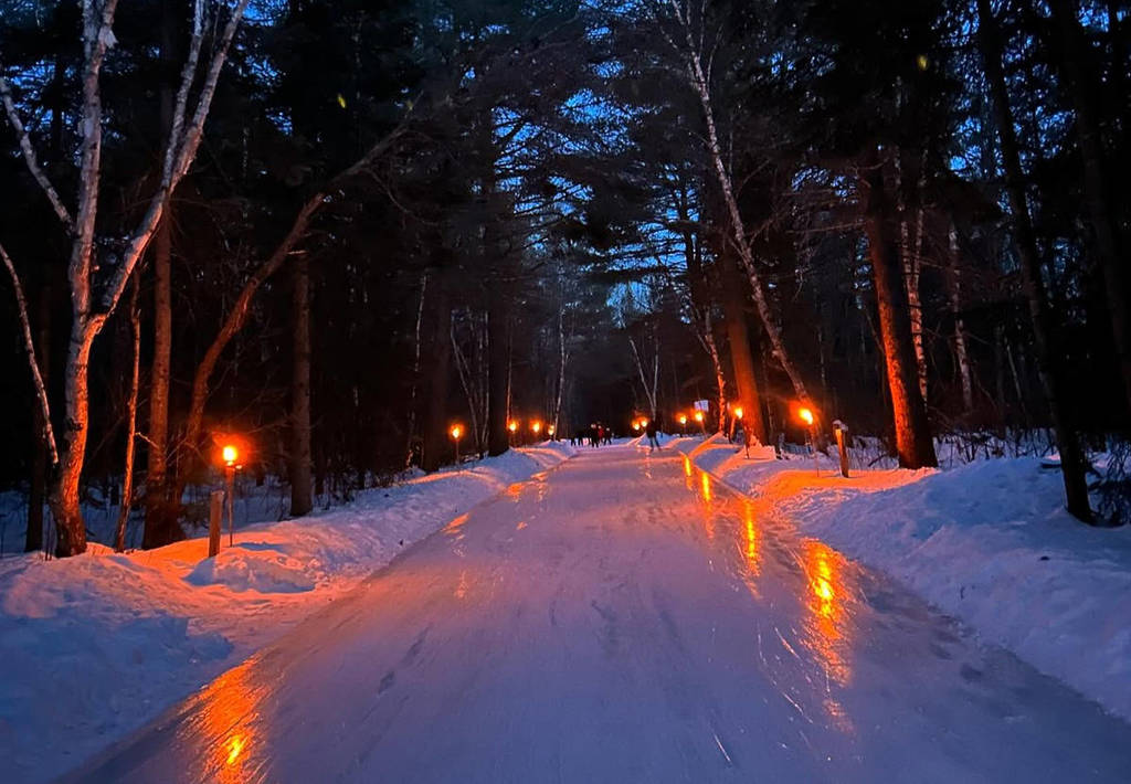 Named One Of The World’s Most Stunning Rinks, This Hidden Forest Escape ...
