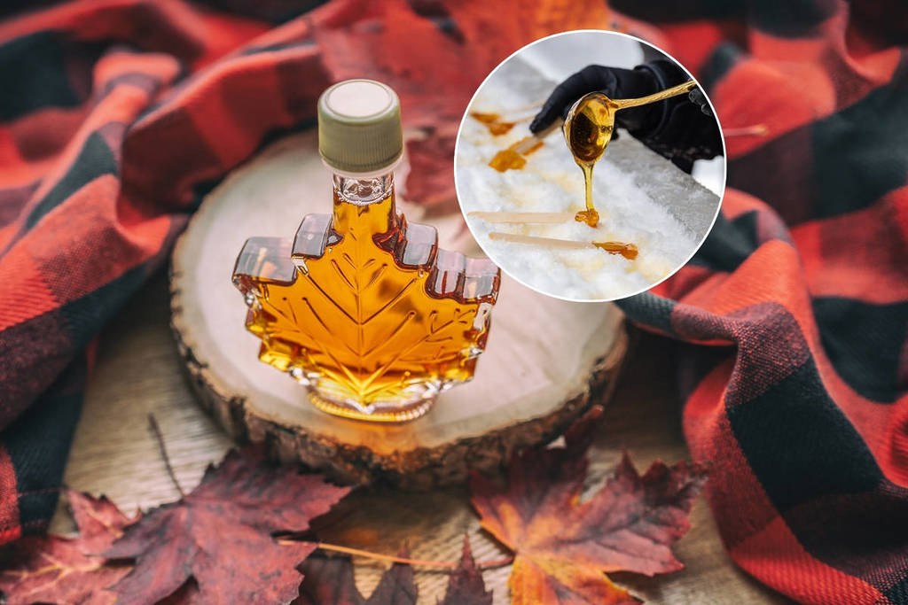 Toronto’s Beloved Maple Syrup Festival Is Making A Big Comeback This Winter – And Entry Is Completely Free