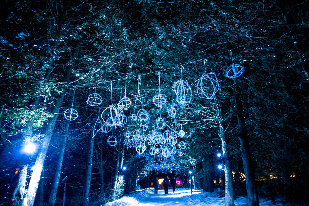 Just 1 Hour From Toronto, This Glowing “Wonderland” In The Forest Hides Sustainable Art And Live Fire Performances