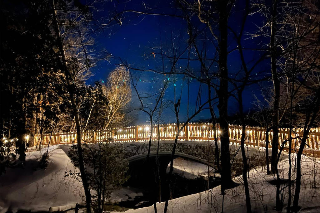 Cette forêt illuminée se trouve à une heure de Toronto et propose des sentiers scintillants et des randonnées nocturnes étoilées.