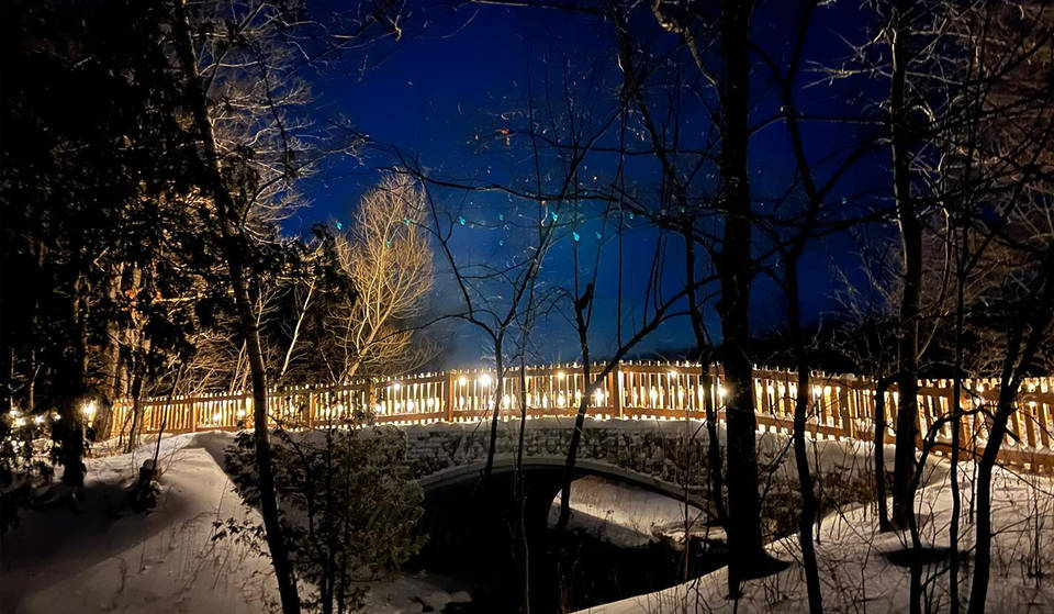 This Illuminated Forest Is Just An Hour From Toronto With Twinkling Trails And Starry Night Treks