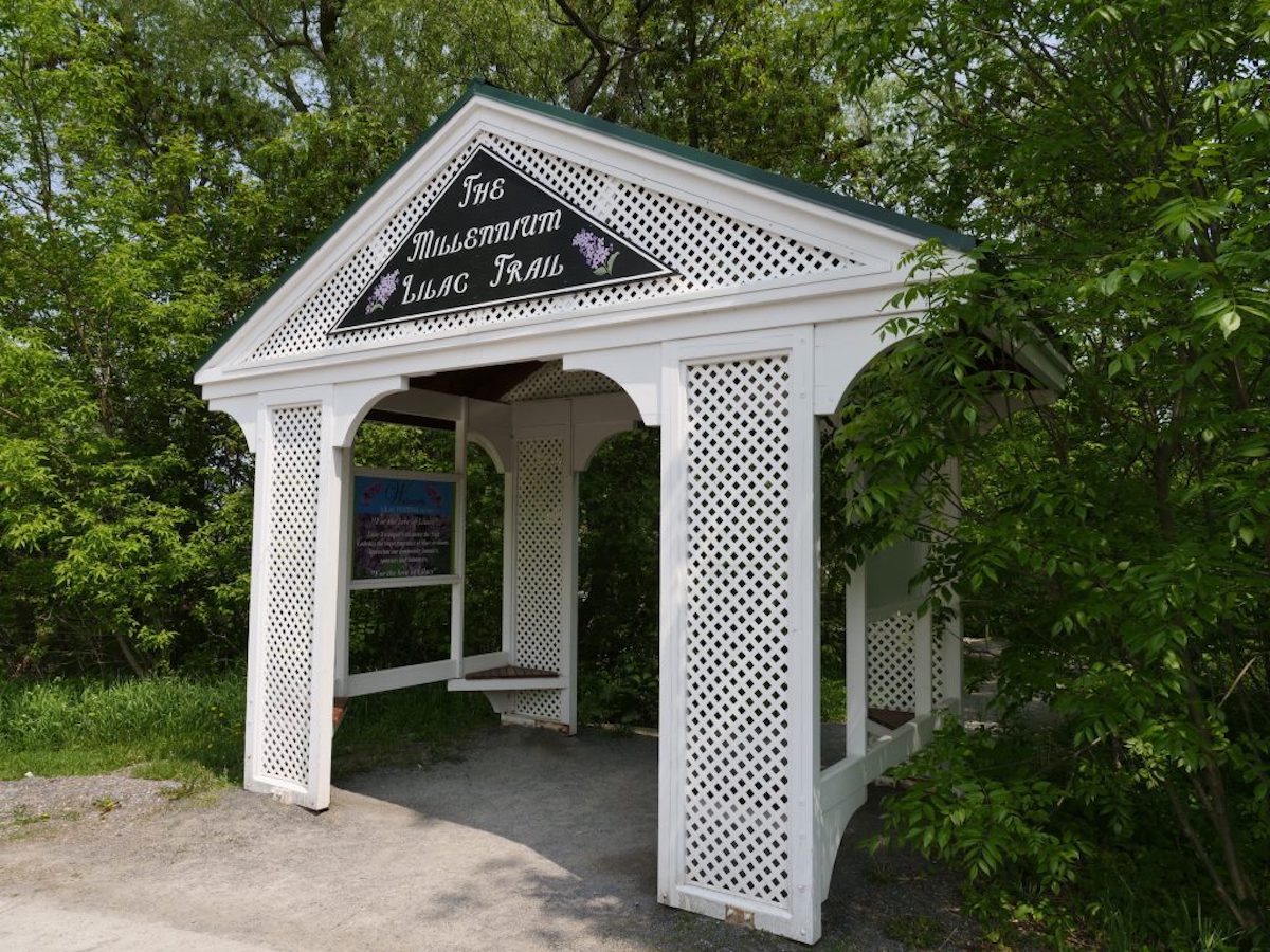 Milennium Trail