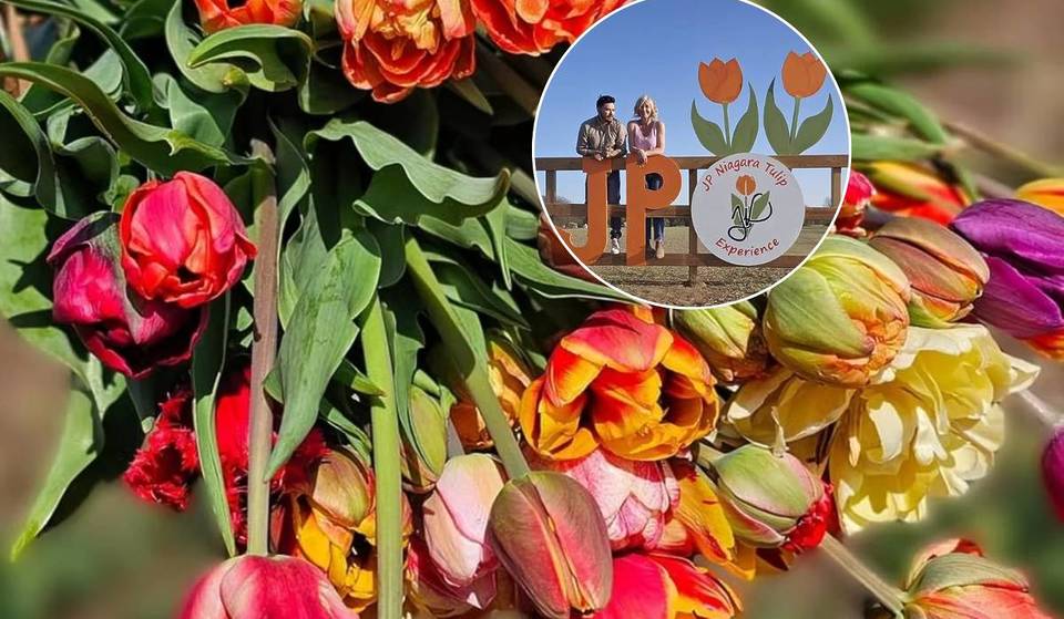 This Tiny Ontario Town Explodes With Two Million Tulips Every Spring