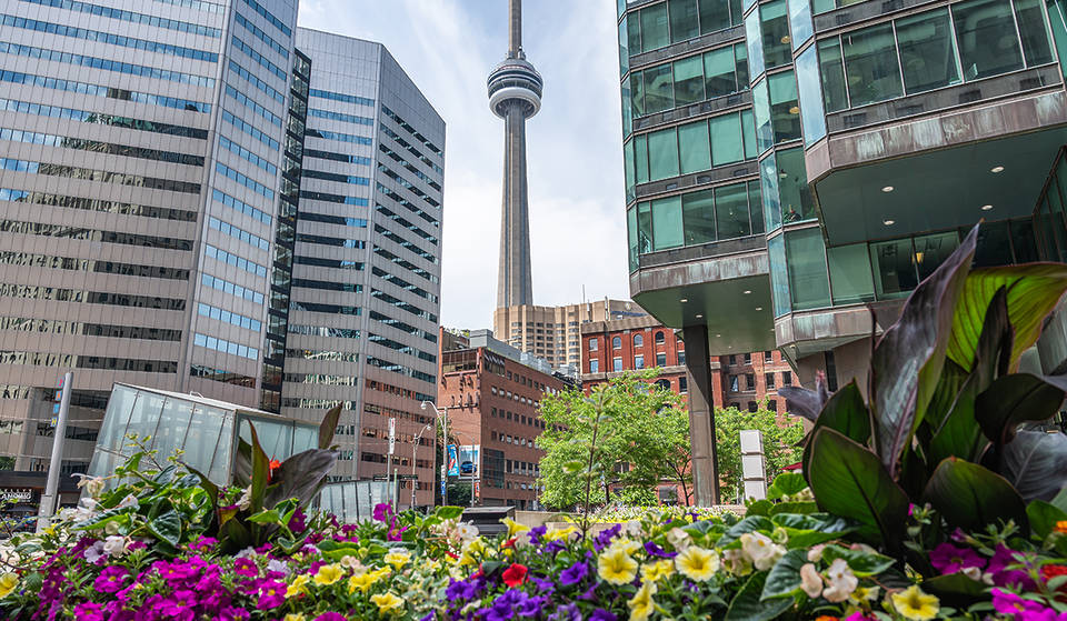 20+ Amazing Things To Do In Toronto This April