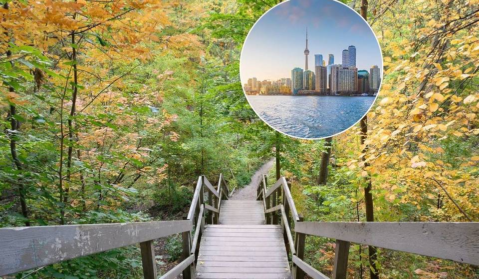This Hidden Boardwalk In Toronto Makes The City Disappear