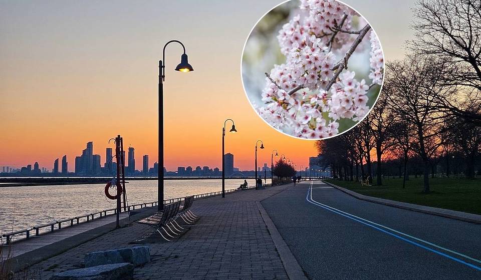 Toronto’s Warm Weather Era Starts Monday And Here’s How To Make The Most Of Every Single Degree