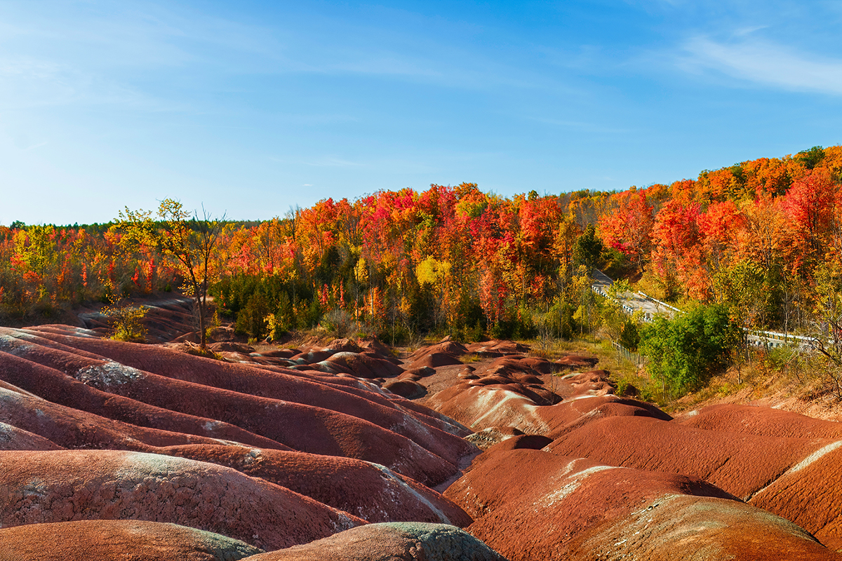 Formidable Landscapes This Striking 'Martian Landscape' Is A Hidden Natural Wonder Just 1 ...