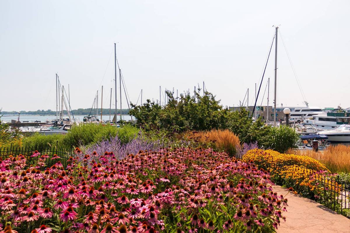 Toronto Music Garden Is the City’s Most Romantic Hidden Spot